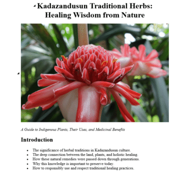 Kadazandusun Traditional Herbs - eBook