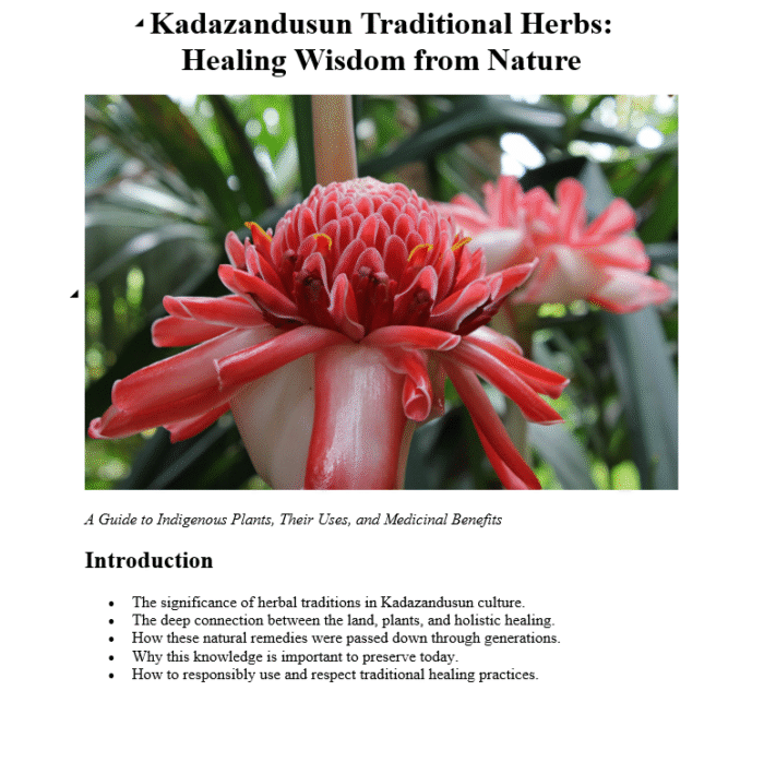 Kadazandusun Traditional Herbs - eBook
